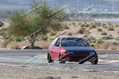 media/Oct-24-2025-Doghouse Garage (Fri) [[783d2ff07a]]/1-Advanced/Session 2 Turn 5 Tree of Life/